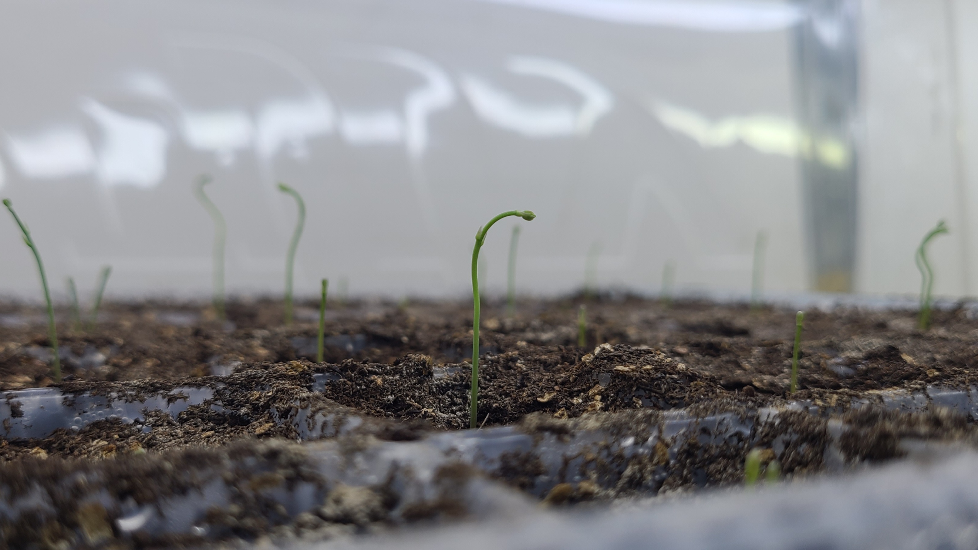 Cover image for The latest projects noted